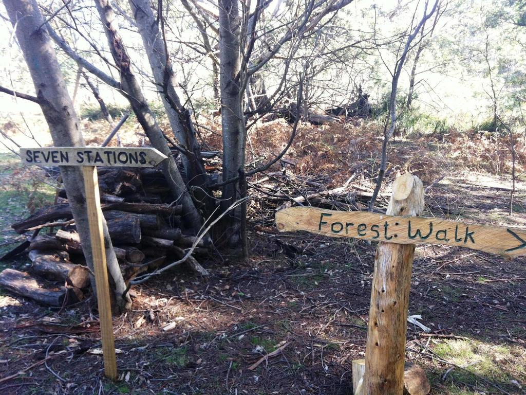 Wind Song Bed & Breakfast Little Swanport Esterno foto