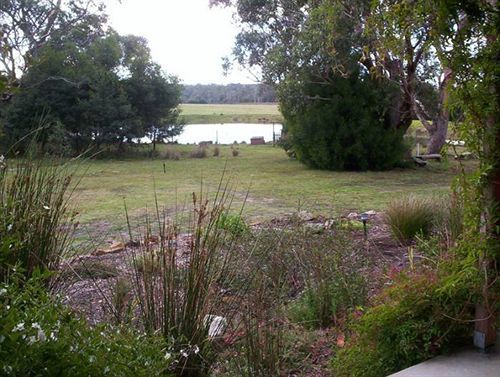 Wind Song Bed & Breakfast Little Swanport Esterno foto